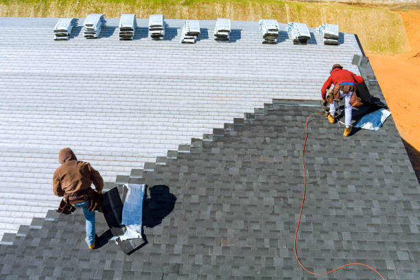 Best Metal Roofing Contractor  in Jesup, GA
