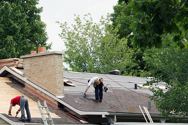 Best Storm Damage Roof Repair  in Jesup, GA