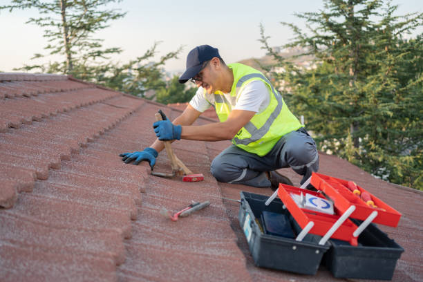 Best Roof Inspection Near Me  in Jesup, GA
