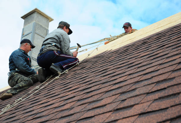 Best Commercial Roofing Services  in Jesup, GA
