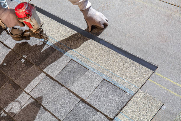 Best Local Roofing Companies  in Jesup, GA