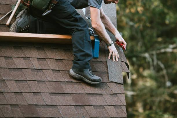 Best Roof Repair Services  in Jesup, GA